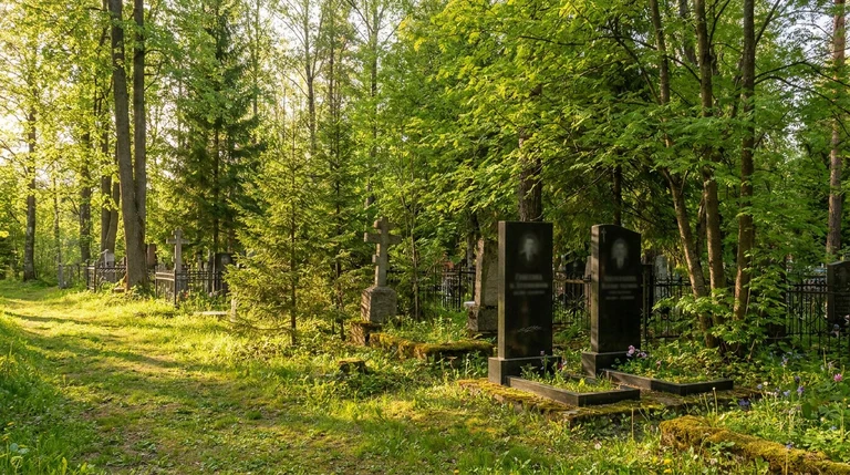 Гранитный памятник на Немецком кладбище в Рязани среди старых деревьев