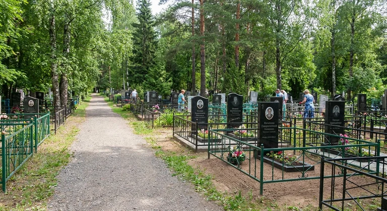 Гранитный памятник на участке Никольского кладбища в посёлке Северка среди лесного массива