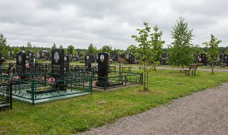 Памятники на Скорбященском кладбище в Рязани